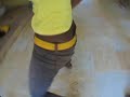 beats   booty vol:2