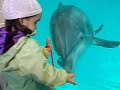 Alice et les Dauphins