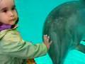 Alice et les Dauphins