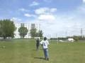 Flying kites 1
