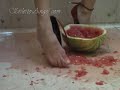 Water Melon Crush Water Melon Crush