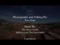 Eclectic 2.0 - My second time lapse experiment