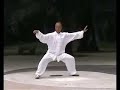Master Wang Zhi Ping Performing Chen Style 18 Pattern Taichi