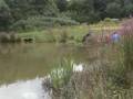 Dallam Angling Stanners Trophy