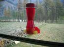 Hummer Cam