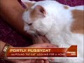 44-Pound Fat-Cat Does It Early