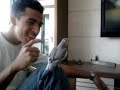 Zion cantando o hino do Mengão!