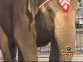 Another Look UniverSoul Circus Another Look UniverSoul Circus