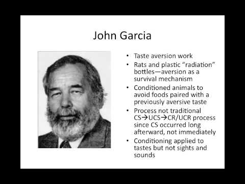 what is hope essay beauty definition