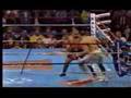 Tua-vs-Ruiz