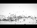 BMW: Impact BMW: Impact