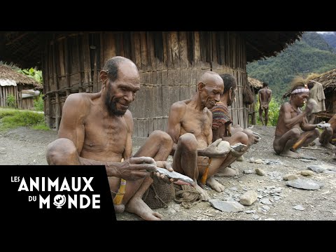 Image de prévisualisation YouTube