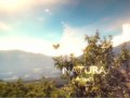 MELE VAL VENOSTA DIRECTOR CUT