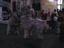 国大中秋园游会 Part 1 *2006*