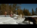  - MovieZen Video