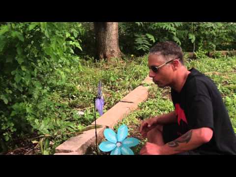 how to practice jediism