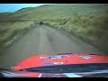 Rally - Loeb contro una mucca Rally - Loeb contro una mucca