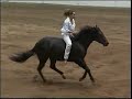 Stacey Westfall winning a freestyle reining competition bridleless.