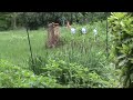Catastrophic Earth Changes ?   May 2  2010