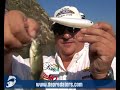 Fay�n, aguas para el bass