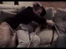 Emmaus Video