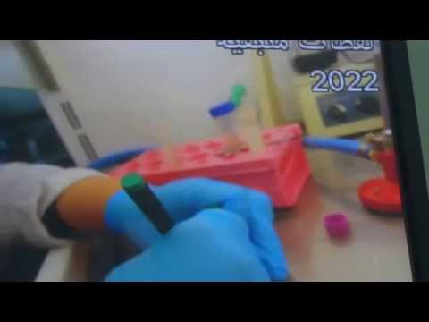 how to harvest bone marrow cells from mice