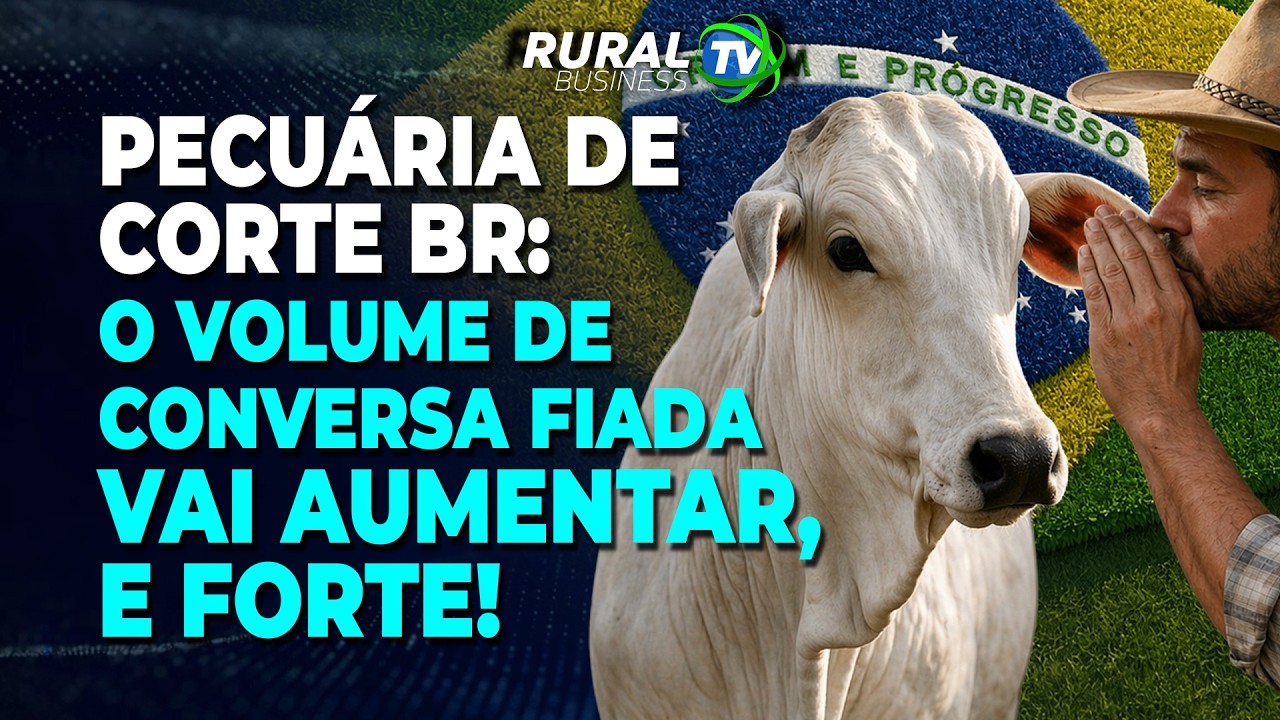 PECUÁRIA DE CORTE BR: O VOLUME DE CONVERSA FIADA VAI AUMENTAR, E FORTE!