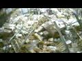 Russian Vodka Warehouse destroyed by Forklift-2009