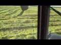 Silage