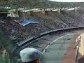 Ovunque tu vada