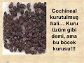 COCO COLA TRUTH SECRET COKE