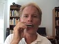 Modern Blues Harmonica  - blue third 2 (Gussow.091)