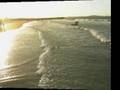 Australia Best Beaches - Noosa & Palm Cove Queesland