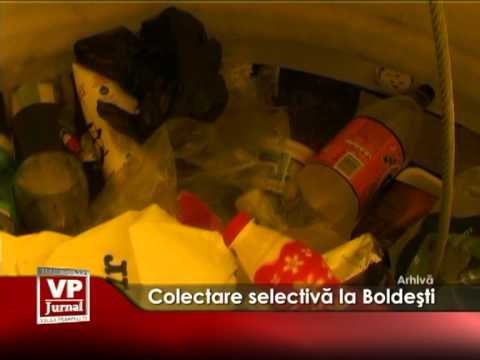 Colectare selectivă la Boldeşti