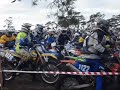 GGN 2008 Gotland Grand National