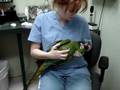 Why macaws are the best