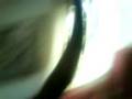 videos de Fly hunting