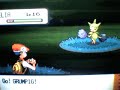 Shiny Roselia With Poke Radar
