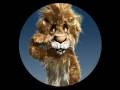 Video-animado-WFD-Su