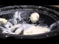non-newtonian fluid on a speaker