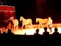 Zippos Horses