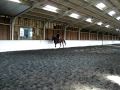Holly Payne Training Young Horse