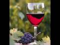 St. Germain Wine Bar_0002.wmv