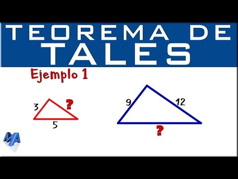 Teorema de Tales | Ejercicio de aplicación 1