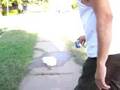 videos de firecracker rocket