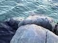 Baie-Trinit�