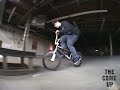 ANIMAL LEDGE SESSION