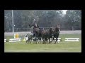 CAIB Traits Lisieux 2007-dressage