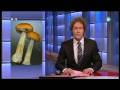 MAGIC MUSHROOM LAW. PART 1