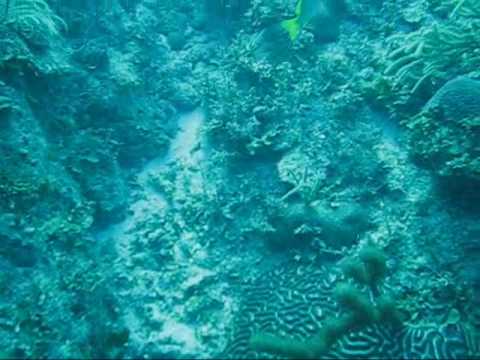 0 Santa Lucía, corales de ensueño